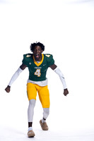 KLEIN FOREST_FB-(COLLIER)-16