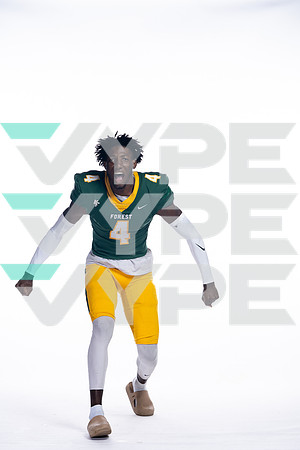 KLEIN FOREST_FB-(COLLIER)-16