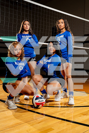 ALDINE_VB-(COLLIER)-2