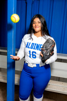 ALDINE_SFBL-(COLLIER)-00188