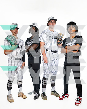 RANDLE_BSBL_1, 2, 3, 4-(BROWN)-3404