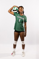COOPER_VB-(BROWN)-7