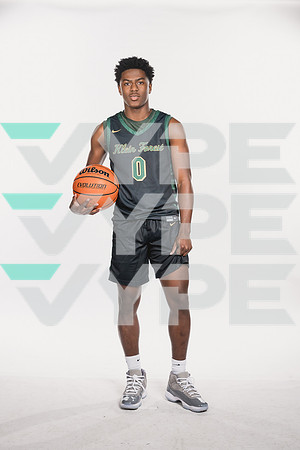 KLEIN FOREST_BB-(WRIGHT)-8411