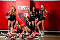 IWA_VB-(COLLIER)-2