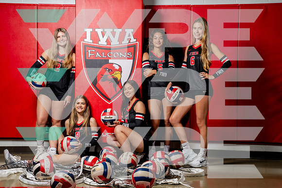 IWA_VB-(COLLIER)-2