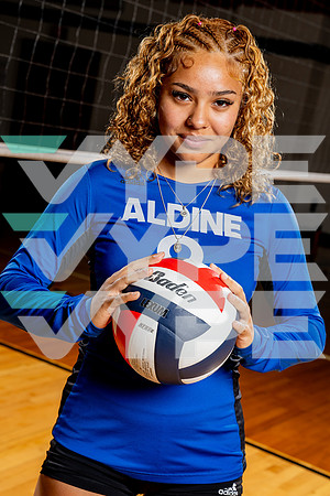 ALDINE_VB-(COLLIER)-18