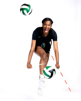 KLEIN FOREST_VB-(COLLIER)-13