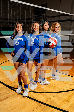 ALDINE_VB-(COLLIER)-1