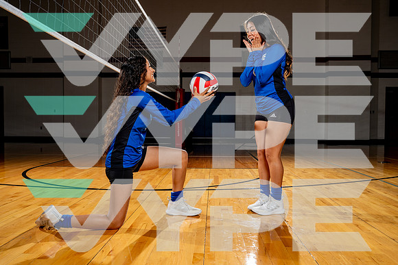 ALDINE_VB-(COLLIER)-42