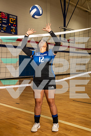 ALDINE_VB_0252-(BROWN)