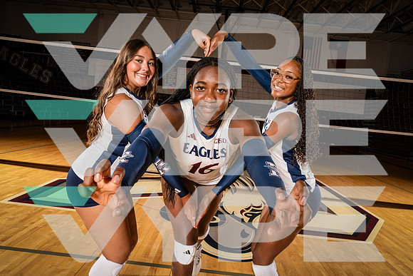 ROWLETT_VB_00103-(COLLIER)