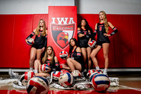 IWA_VB-(COLLIER)-3