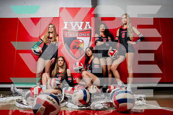 IWA_VB-(COLLIER)-3