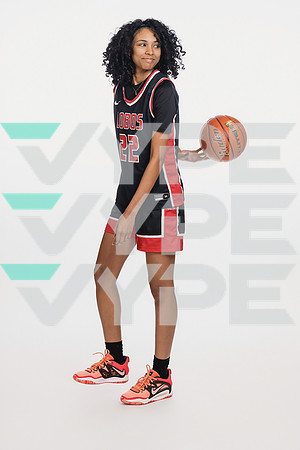 LANGHAM_CREEK_GBB-(COLLIER)-00468