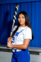 ALDINE_SFBL-(COLLIER)-00182