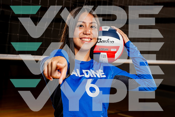 ALDINE_VB-(COLLIER)-12