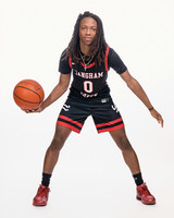 LANGHAM_CREEK_BB-(COLLIER)-00006