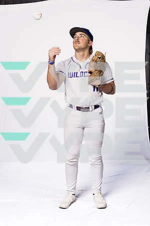 ANGLETON_BSBL-(BROWN)-00000928