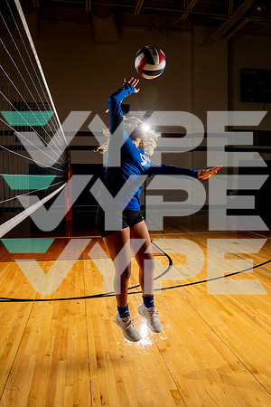 ALDINE_VB-(COLLIER)-24