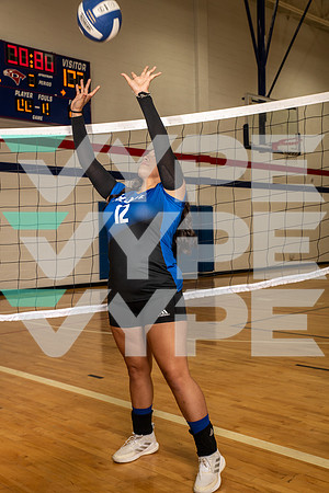 ALDINE_VB_0251-(BROWN)