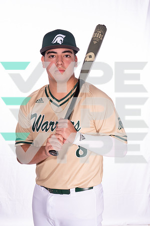 TWCA_SPRING_BSBL_GRAPHICS_160-(VYPE)
