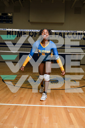 CHANNELVIEW_VOLLEYBALL_8839-(COLLIER)