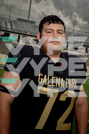 GALENA PARK_FB_DSC00749-(COLLIER)