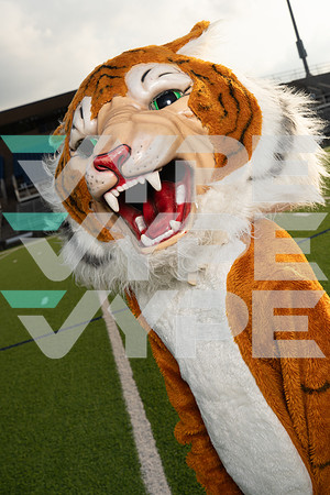 TRAVIS_CHEER_DSC00484-(COLLIER)