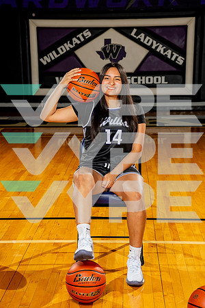 WILLIS_GBB-(BCC)-00225