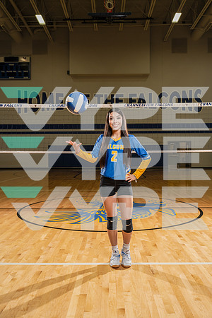 CHANNELVIEW_VOLLEYBALL_8855-(COLLIER)