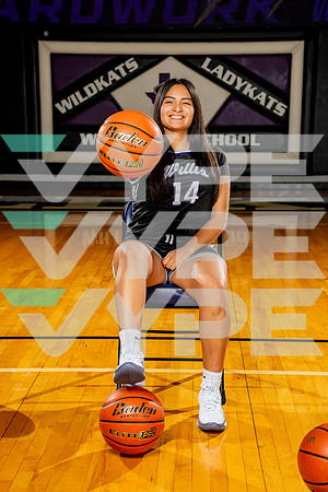 WILLIS_GBB-(BCC)-00223