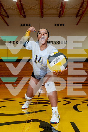 HASTINGS_VB-(WRIGHT)-14