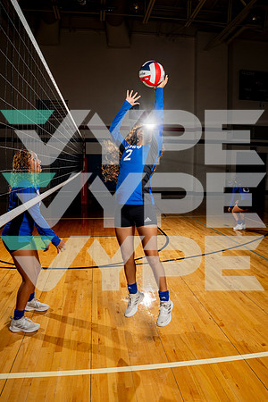 ALDINE_VB-(COLLIER)-34