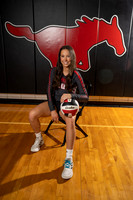 Volleyball
