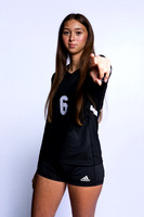 FOSTER_VB_8255-(BROWN)