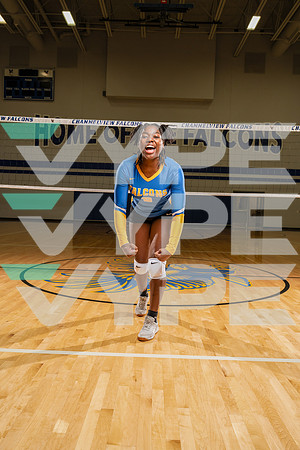 CHANNELVIEW_VOLLEYBALL_8837-(COLLIER)