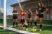 SPRING_WOODS_GSOC_TEAM__18-(HARTOJO)