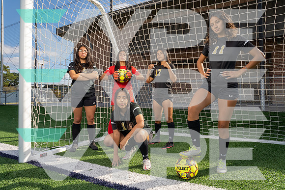 SPRING_WOODS_GSOC_TEAM__18-(HARTOJO)