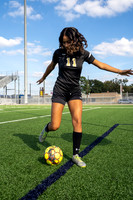 SPRING_WOODS_GSOC__09-(HARTOJO)
