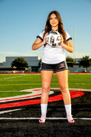 GCM_GSOC-(WRIGHT)-223