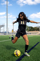 SPRING_WOODS_GSOC__10-(HARTOJO)