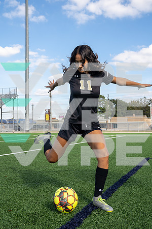 SPRING_WOODS_GSOC__10-(HARTOJO)