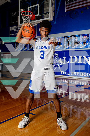 ALDINE_BB-(BROWN)-470