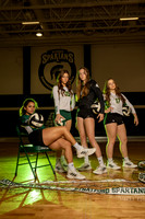 Volleyball