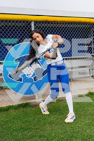 ALDINE_SFBL-(COLLIER)-00227