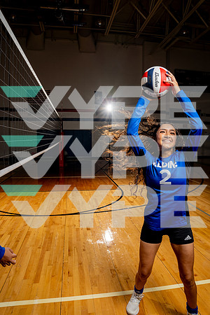 ALDINE_VB-(COLLIER)-31