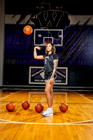 WILLIS_GBB-(BCC)-00161