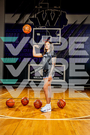 WILLIS_GBB-(BCC)-00161