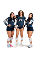 LAMAR_C_VB_074-(POWELL)