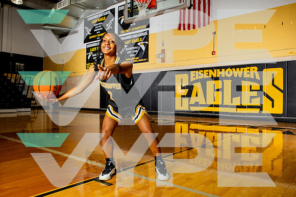 EISENHOWER_GBB-(BROWN)-259